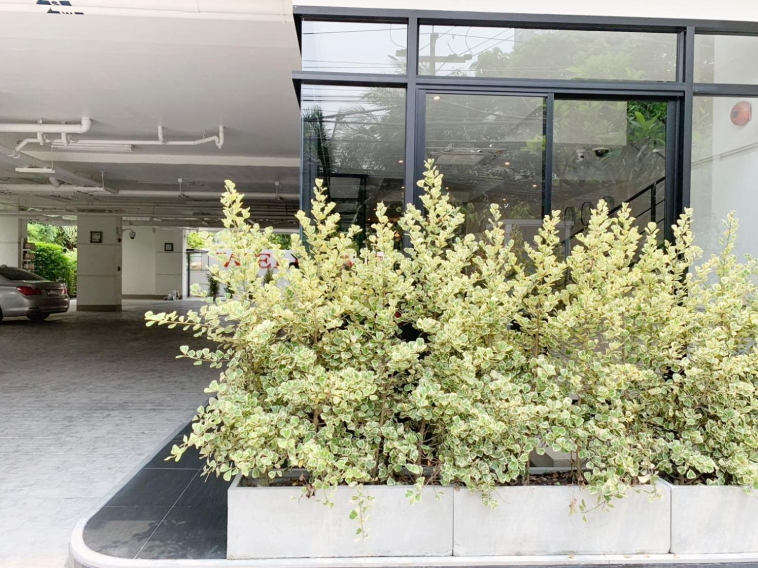 Pacific Residence 39 バンコク都 エクステリア 写真